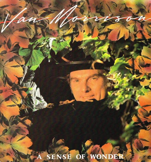 Van Morrison - A Sense Of Wonder (LP, Album, RE)