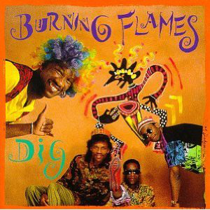 Burning Flames - Dig (LP, Album)
