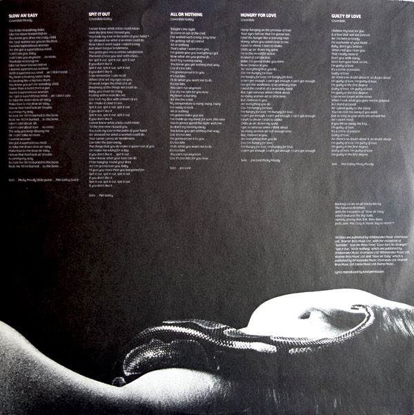 Whitesnake - Slide It In (LP, Album)