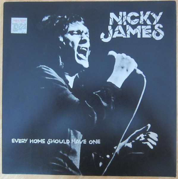 Nicky James - Every Home Should Have One (LP)