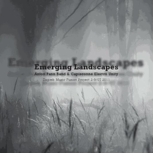 Anton Pann Band* & Capisconne Electro Unity - Emerging Landscapes (CD, Album)